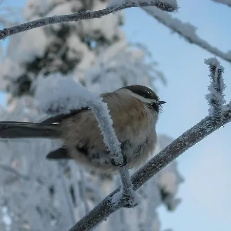 بيت للعطل Mustikka By Interhome *