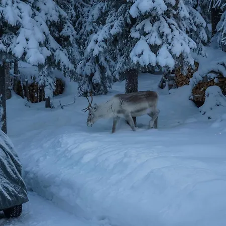 بيت للعطل Mustikka By Interhome كوسامْوُ